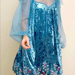 Mauve Velvet Mesh Sleeve Dress